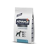 Advance Veterinary Diets Gastroenteric, Pienso...