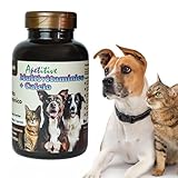 Vitaminas para Mascotas – Multivitamínico...