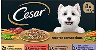 Cesar Comida Húmeda para Perros, Selección Recetas Campesinas en Salsa, Multipack