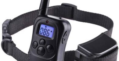 Collar de Adiestramiento para Perros