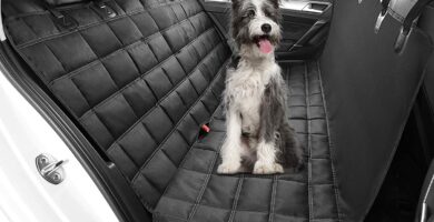 Cubierta de Asiento para Perros