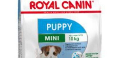 Royal canin mini junior
