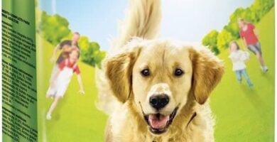 purina friskies vitalift active perro adulto buey