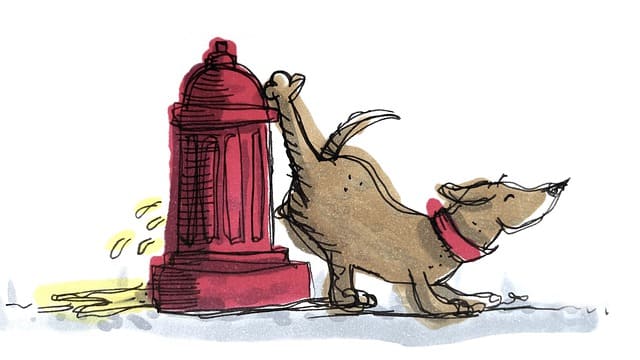 ¿Por qué los perros marcan el territorio?